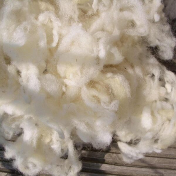 Bettdecke Schurwolle 100% Natur, 200x200. – Bild 2